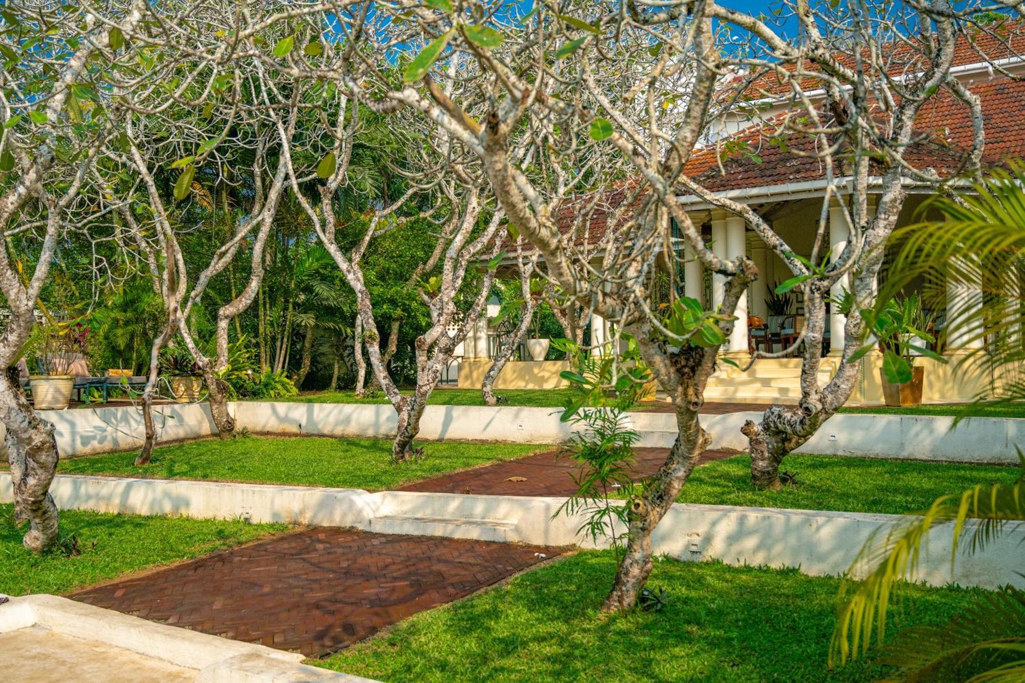 فندق The Sun House كالي المظهر الخارجي الصورة