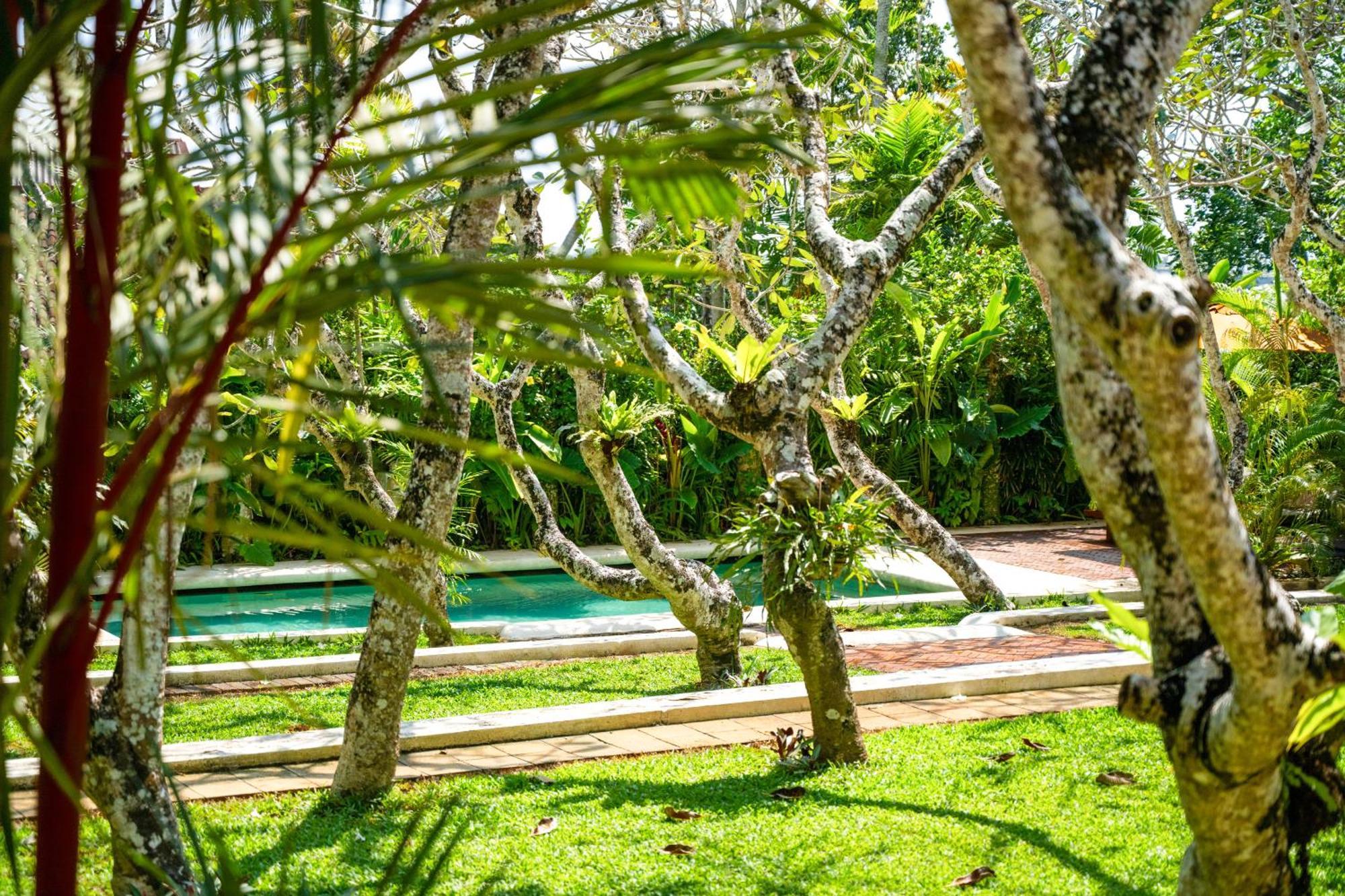 فندق The Sun House كالي المظهر الخارجي الصورة